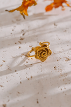 Sleek 18k Gold Plated ring