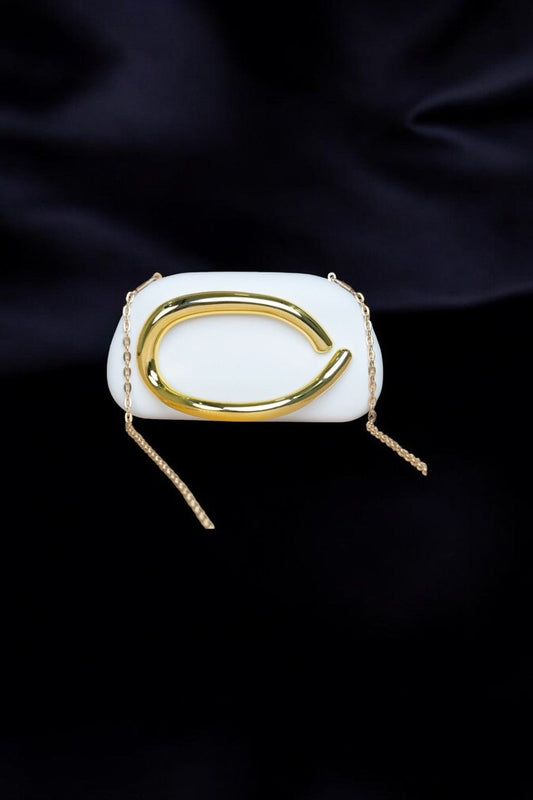 Molisha designer clutch