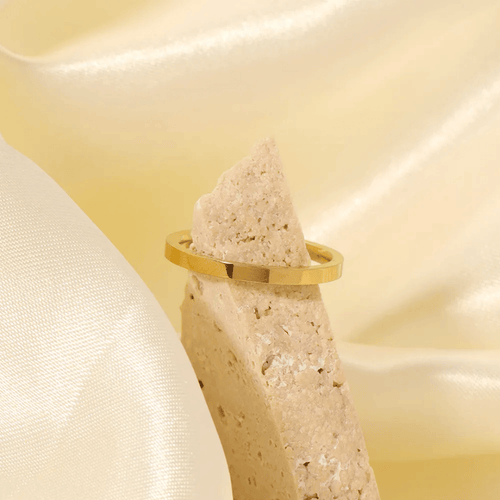 Netal 18k Gold Plated ring