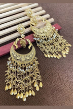 Aganya kreation Earrings Kareena earrings