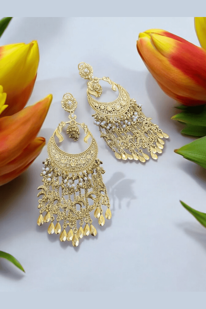 Aganya kreation Earrings Kareena earrings