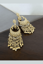 Aganya kreation Earrings Kareena earrings