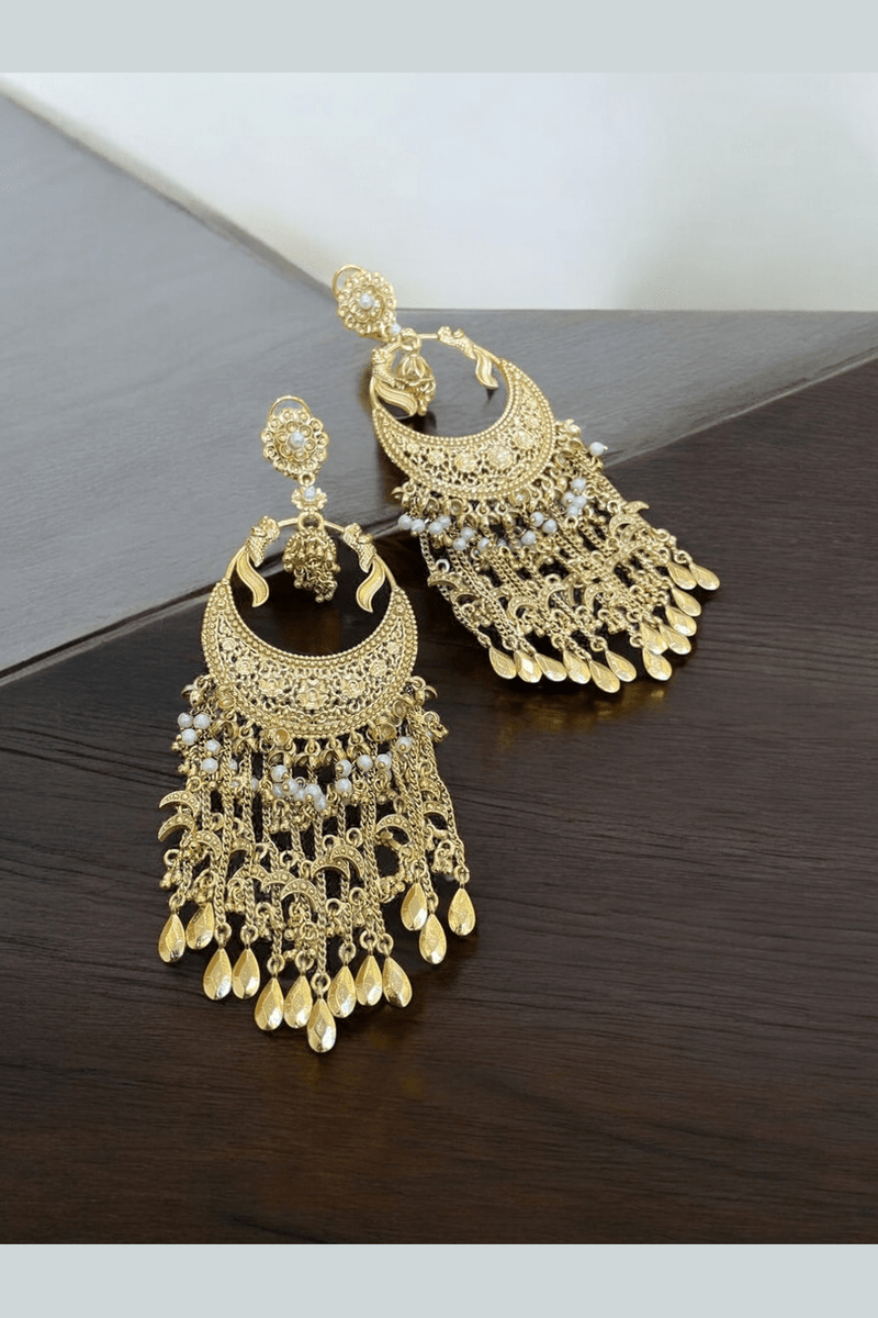 Aganya kreation Earrings Kareena earrings